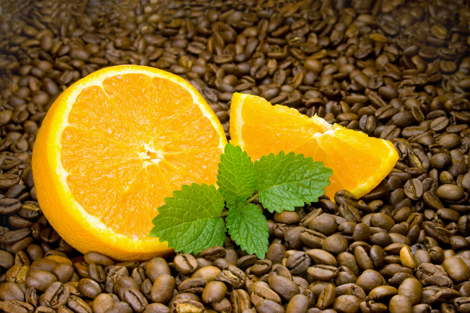 canstockphoto6868081